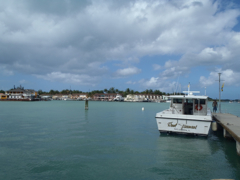 Jolly Harbour