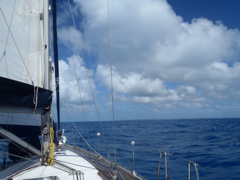 Barbuda au loin