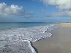 Low Bay
