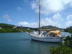 Tank Bay