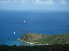 Mosquito Island