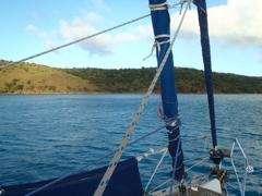 Ouest Prickly Pear Island