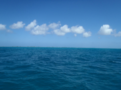 Anegada