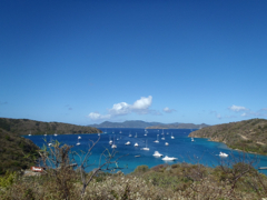 The Bight