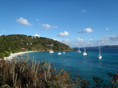 White Bay 2