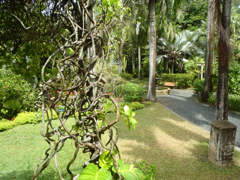 Botanic Garden