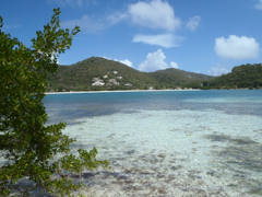 Brandywine Bay