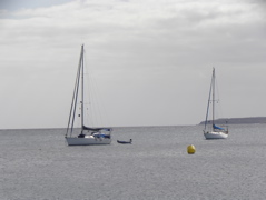 Mouillage