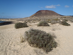 Graciosa 1