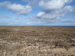 Rocaille