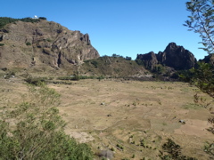 Cova