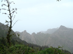 Parc naturel Monte Gordo1