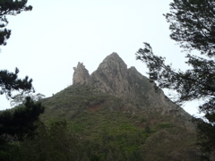 Parc naturel Monte Gordo2