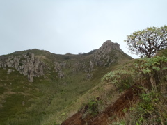 Parc naturel Monte Gordo4