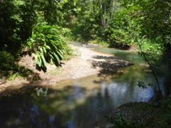 rivire