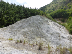Sulfur