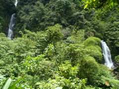 Falls