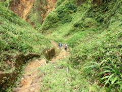 Descente