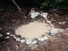 Cold sulfur springs