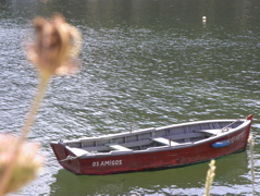 Barque