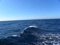 Vague