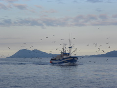 Retour au port