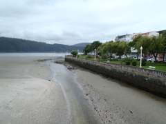 Cedeira