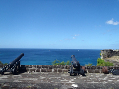 Fort