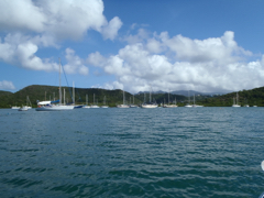 Hog Island