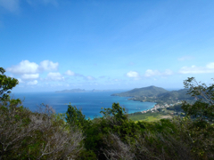 Hillsborough Bay