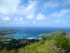 Tyrell Bay