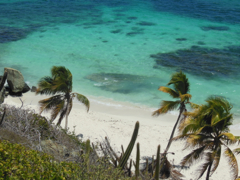 Tobago2