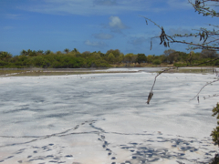Salt Pond