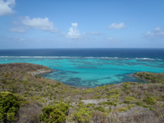 Lagon