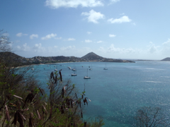 Baie