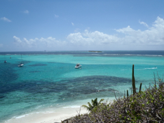 Tobago1
