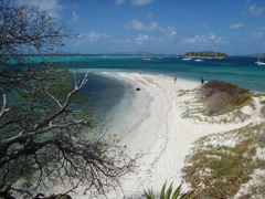 Tobago4