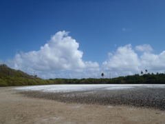 Salines