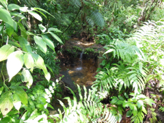 Rivire1