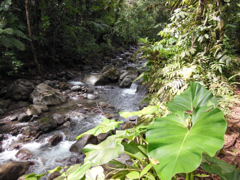 Rivire2