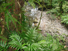 Rivire3