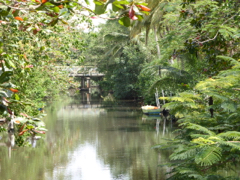 Canal