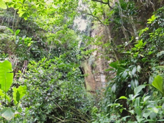 Cascade