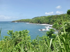 Sud