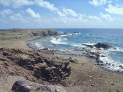 Pointe Mancellinier