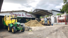 Distillerie Sverin