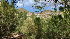 Trace du Morne
