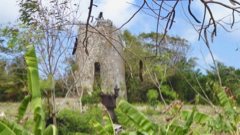 Moulin