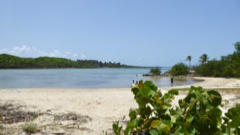 Baie du NO
