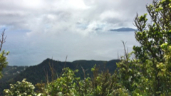 Les Saintes
